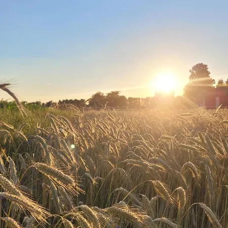 Stajnia Farm stay Tarnowo Paluckie