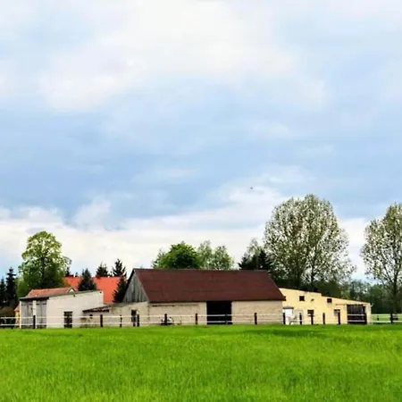 Stajnia *