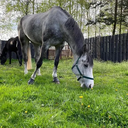 Stajnia Farm stay Tarnowo Paluckie