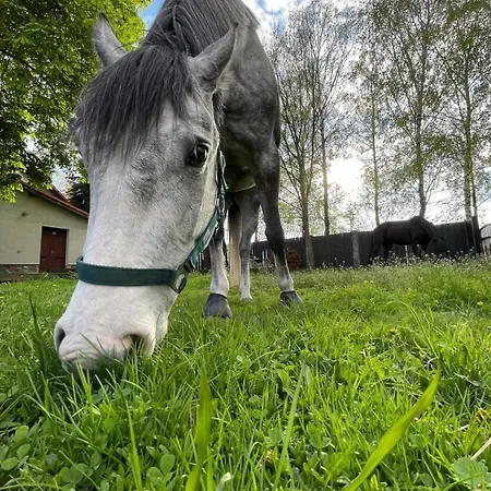 Farm stay Stajnia Tarnowo Paluckie