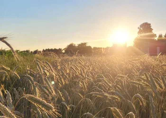 Stajnia Farm stay Tarnowo Paluckie